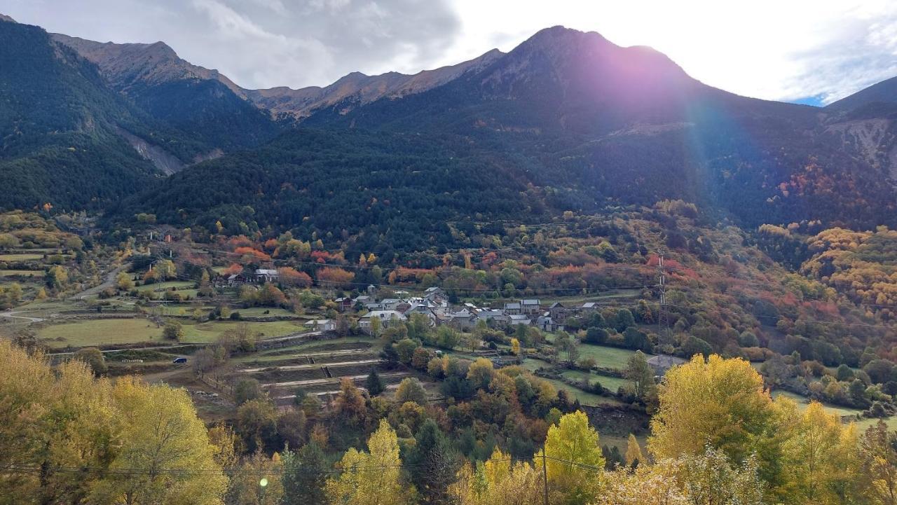 Rural